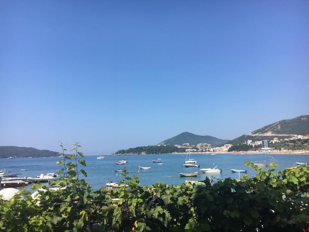 Acika Apartments Rafajlovići Εξωτερικό φωτογραφία